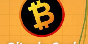 Bitcoin表示到2020年底比特币现金将不再是十大加密货币之一