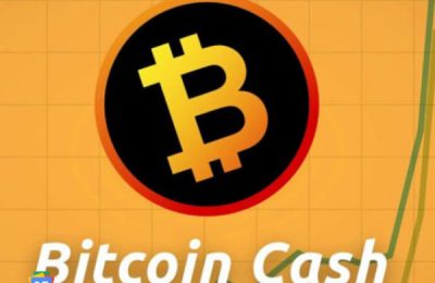 Bitcoin表示到2020年底比特币现金将不再是十大加密货币之一