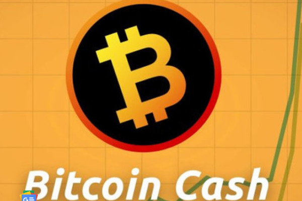Bitcoin表示到2020年底比特币现金将不再是十大加密货币之一