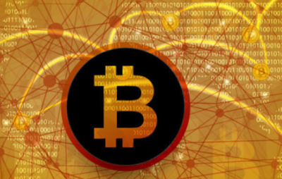 报告称BTC鲸鱼数量创历史新高