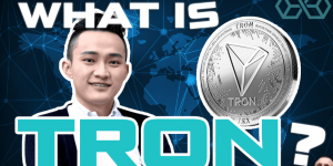 TRON币透明实时监控，TRX币当日价格币透明监控